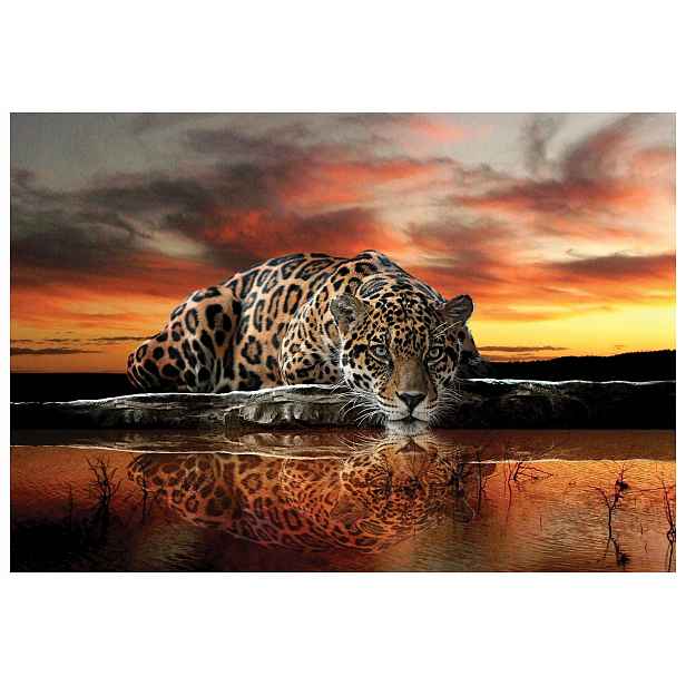Vliesová fototapeta Jaguar Západ slunce odraz ve vodě 150x105 lepidlo