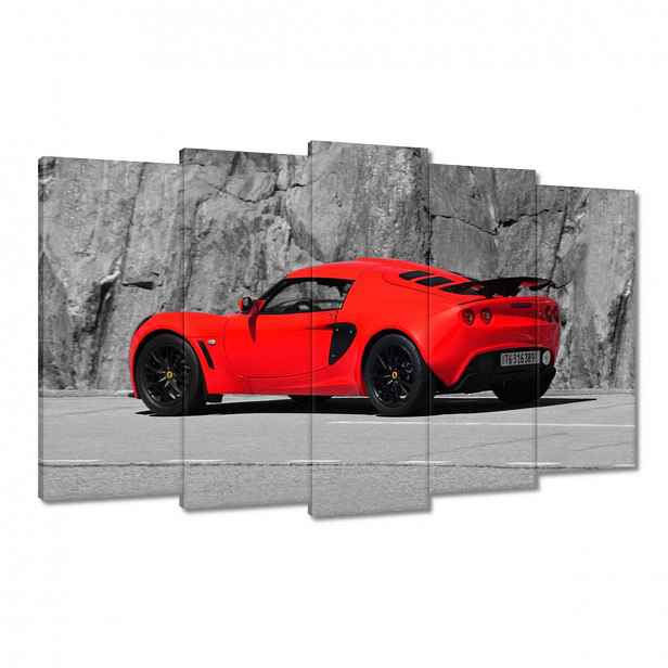 Obrazy 100x60 Červený Lotus