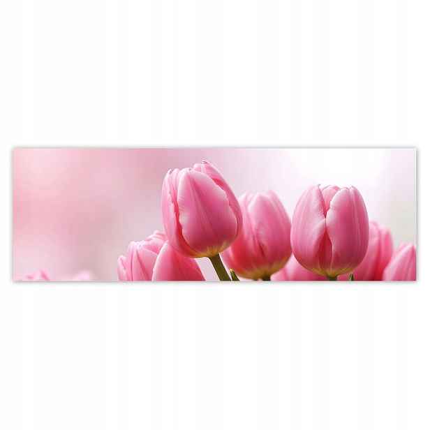 Fototapety 200x66 Růžové tulipány