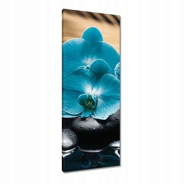 Obrazy 40x100 Tyrkysový orchidej Květina