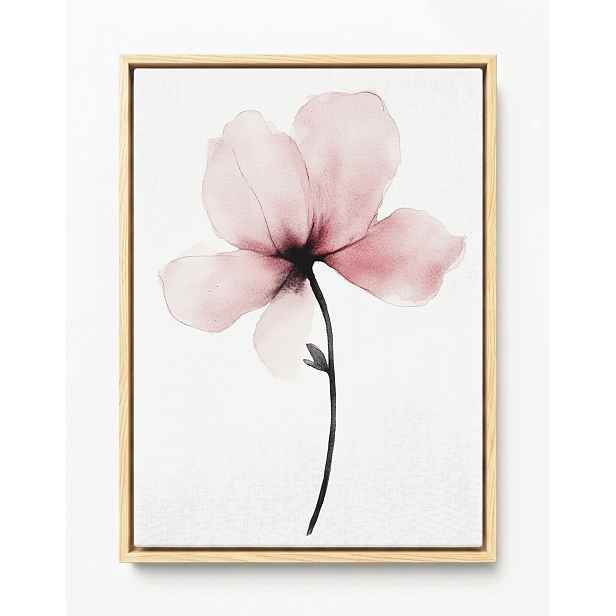 Obraz Rám Americký Box Akvarel Příroda Zahrada Květ Růžová Magnolie 60x80
