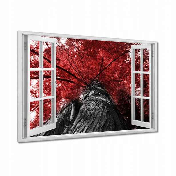 Obrazy 90x60 Sekvoje Vysoký strom