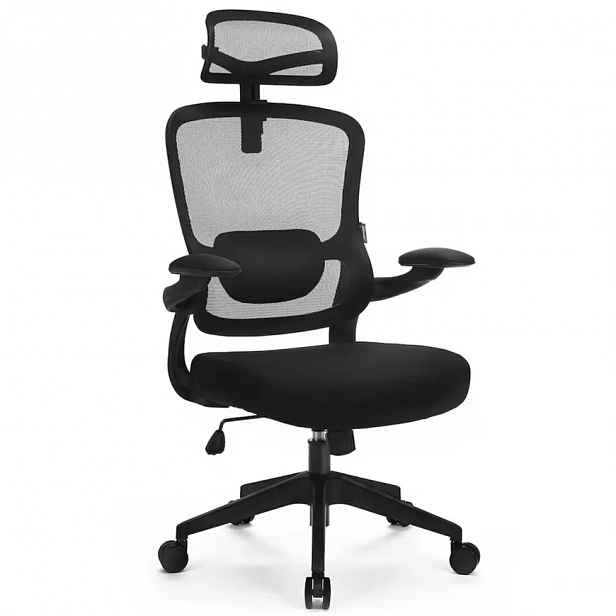 Otáčecí Židle Ergo Basic LV0652
