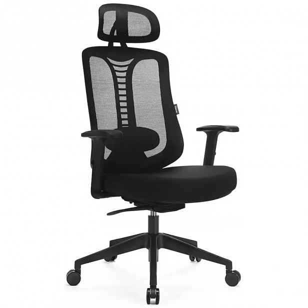 Otáčecí Židle Ergo Essential LV0653