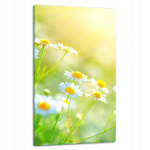 7v1 Skleněná Deska Panel Deska 30x52 Květiny