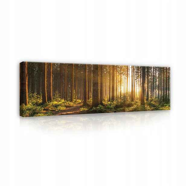Obraz Les Příroda Pohled Na Plátno Stěna Do Ložnice Obývacího Pokoje Velký 145x45