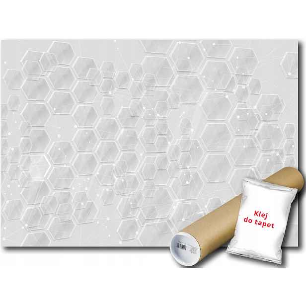Fototapeta Hexagon 3D 23B V8 368x254 F11205