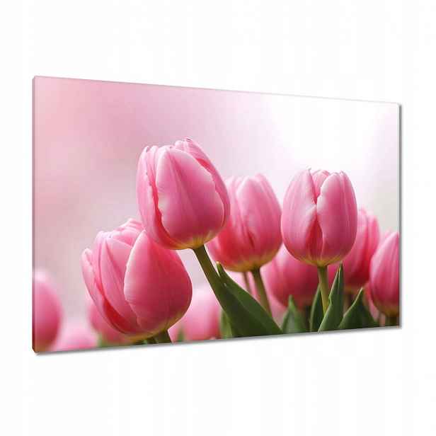 Obrazy 120x80 Růžové tulipány