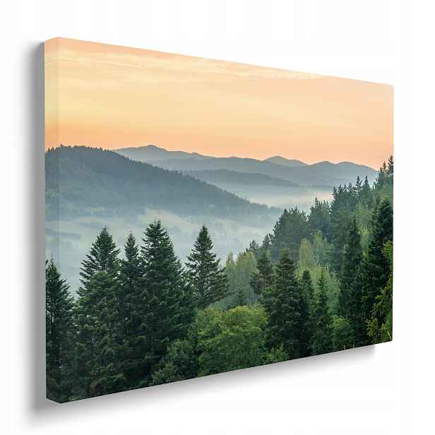 Obraz na plátně Hory a les při východu slunce příroda 70x50 cm