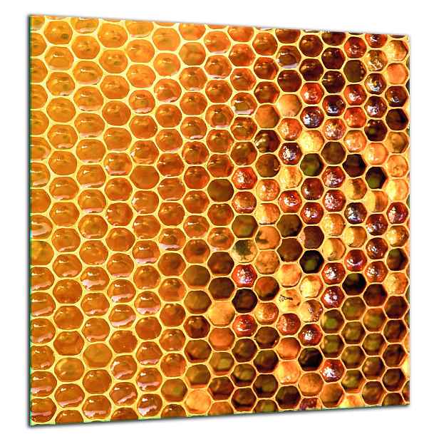Skleněná Ochranná Deska Panel Lepidlo 60x65 Mozaika