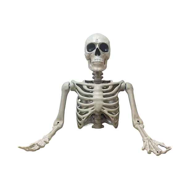 Dekorace Zakopaný kostlivec Halloween Velký kostlivec tors 104 CM!
