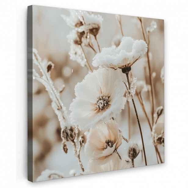 MuchoWow OBRAZ NA PLÁTNĚ Květiny - Zima - Bílá - Sníh - Béžová 20x20 cm