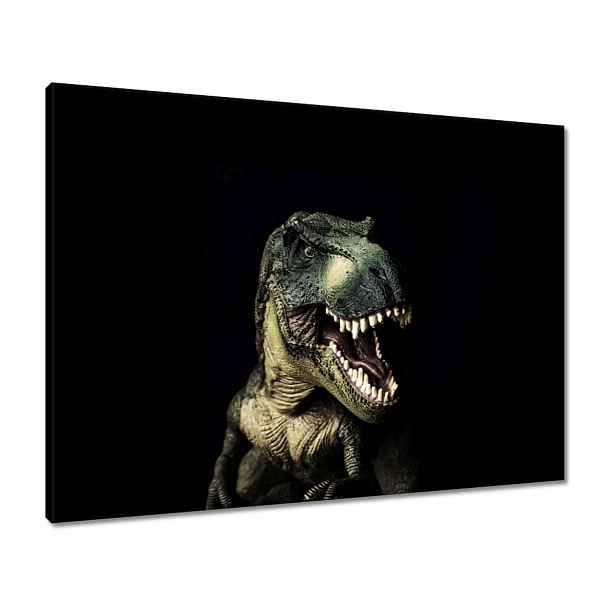 Obrazy 80x60 Tyranosaurus-t-rex černý