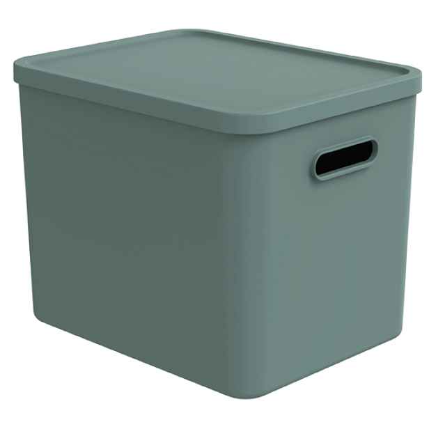 Rotho Úložný box, rovný s víkem, 27l, matně zelená ALBU LIGHT, 37x29x30