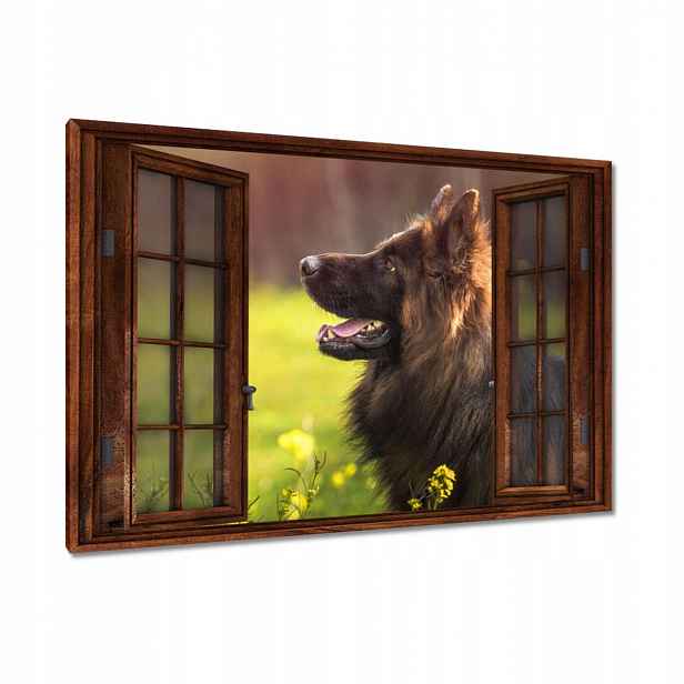 Obrazy 120x80 Veselý přítel Wilczur