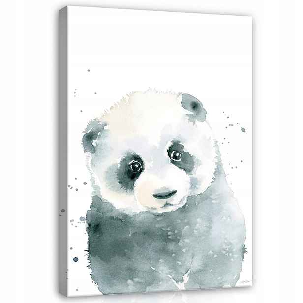Obraz 75x100 Panda akvarel sladký milý dítě příroda klid spánková černá