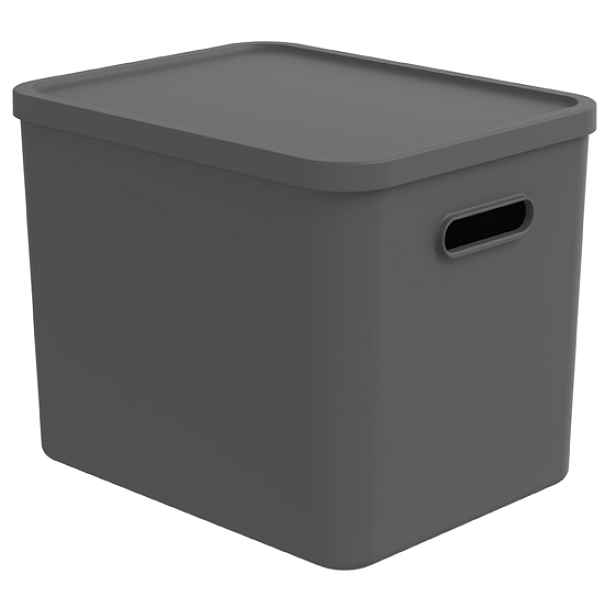 Rotho Úložný box, rovný s víkem, 27l, antracit ALBU LIGHT, 37x29x30