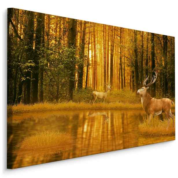 MyBestHome BOX Plátno Jelen U Jezera V Lese Varianta: 70x50