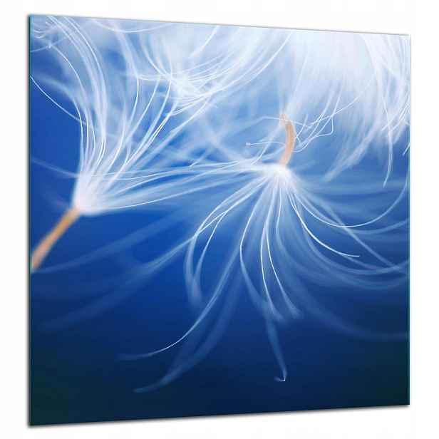 Skleněná Ochranná Deska Panel Lepidlo 60x65 Květina
