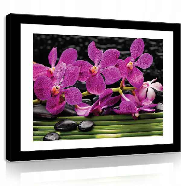 Obraz 80x60 Purpurové orchideje černé kameny bambus zen klid krása