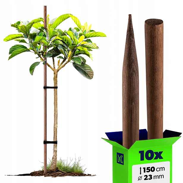 10 x Dřevěné Tyčinky Na Rajčata 150 cm Impregnované Podpěra Na Stromky 23 mm