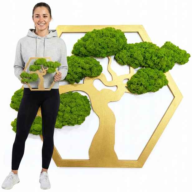 Strom Z Mechu chrobotka Obraz živý mech Stabilizovaný Bonsaj Dekorace