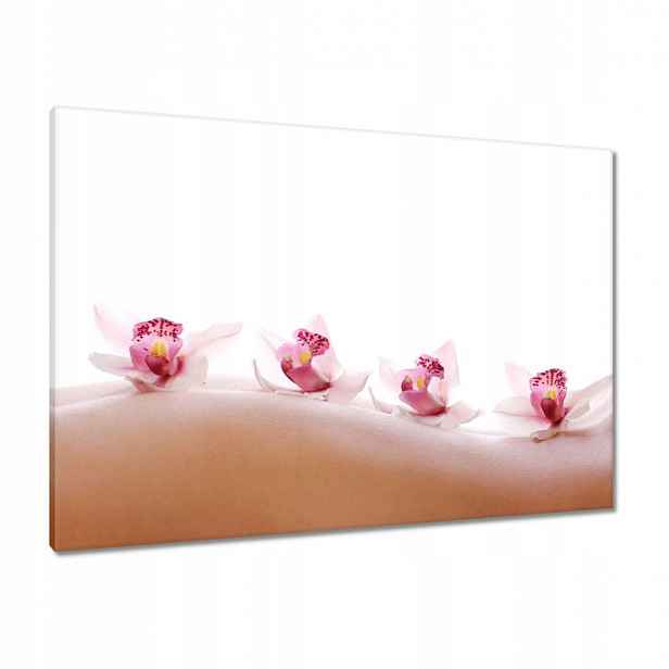 Obrazy 100x70 Relax v lázních Orchideje