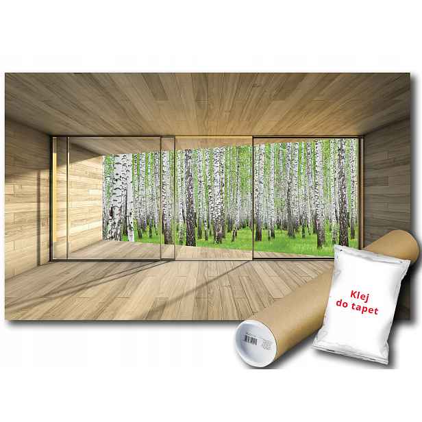 Fototapeta Výhled Na Břízy 18B F3XL 416x254 F3304