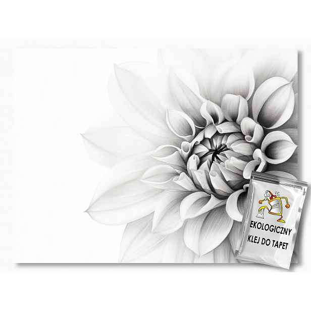 Fototapeta Flizelina Květ Bílá Jiřina Minimalismus Boho Makro 368x254 130g
