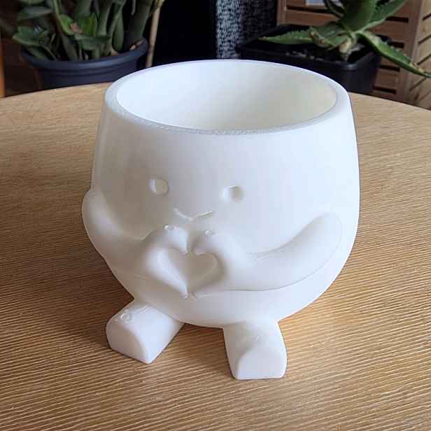 TEMU 3D tištěné dojemné květináče. Slouží jako dokonalé domovy pro štědřavce sukulenty, lze je důmyslně použít jako organizéry na psací potřeby na