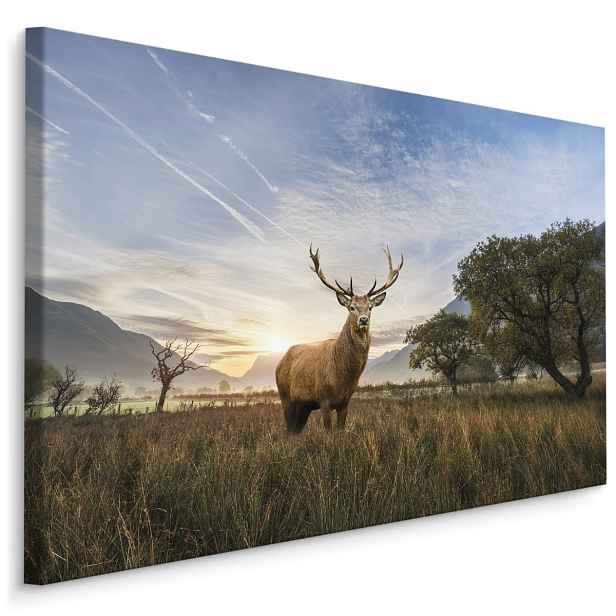 MyBestHome BOX Plátno Jelen Na Pozadí Krajiny Varianta: 120x80