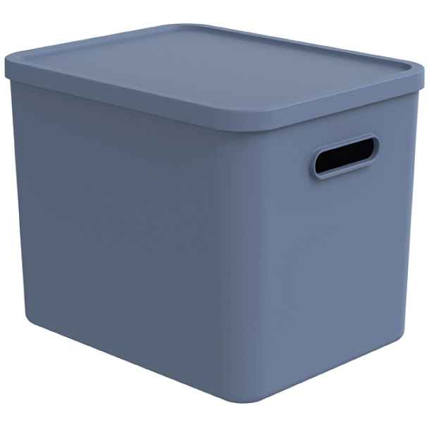 Rotho Úložný box, rovný s víkem, 27l, modrá ALBU LIGHT, 37x29x30