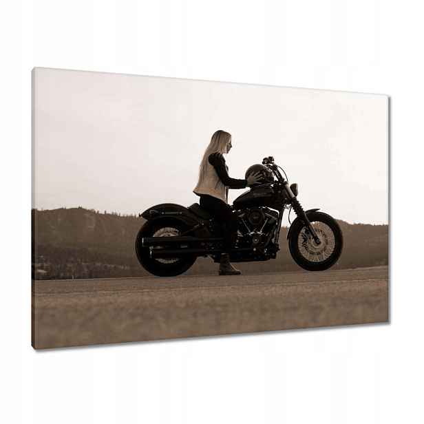 Obrazy 100x70 Harley Davidson Motocykl