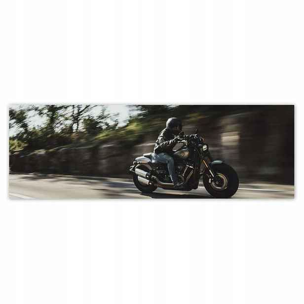 Plakáty 200x66 Harley Davidson Motocykl