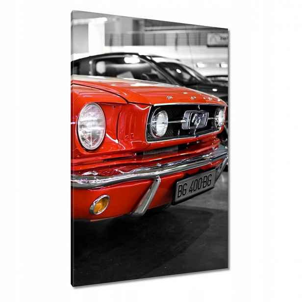 Obrazy 80x120 Červený Mustang