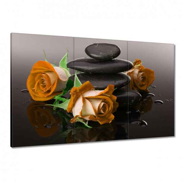 Obrazy 120x80 Oranžové růže Spa