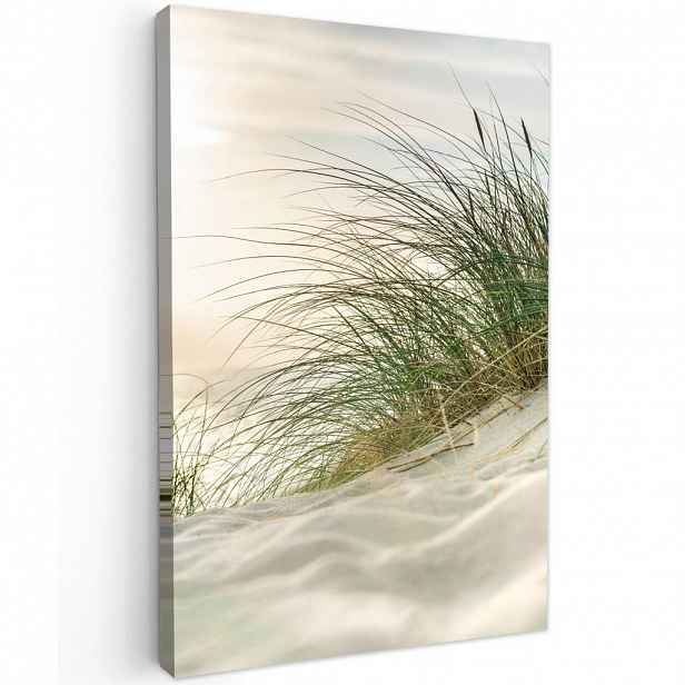 MuchoWow OBRAZ NA PLÁTNĚ Duny s bahenní trávou pod sluncem v německém národním parku Schleswig-Holsteinisches Wattenmeer 60x90 cm
