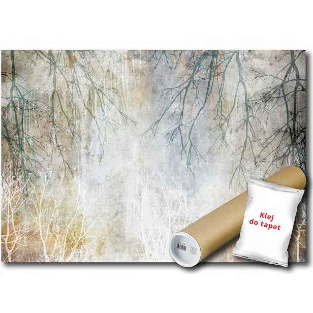 Vinylová Fototapeta Beton Větvičky Dřevo 152x104