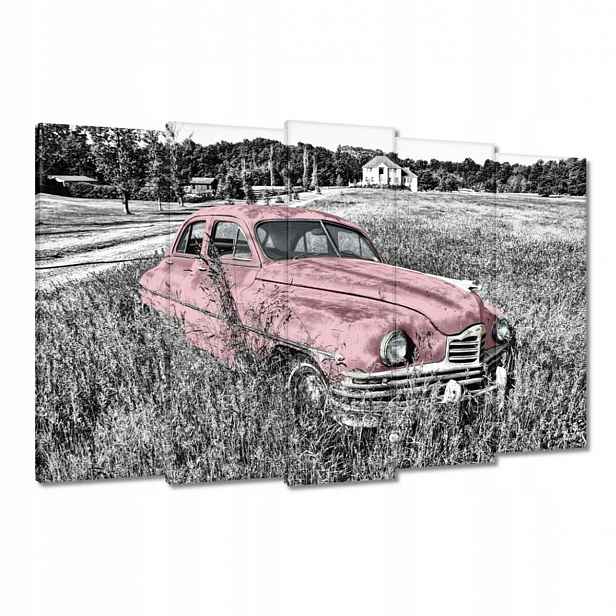 Obrazy 150x95 Růžová babička Historická
