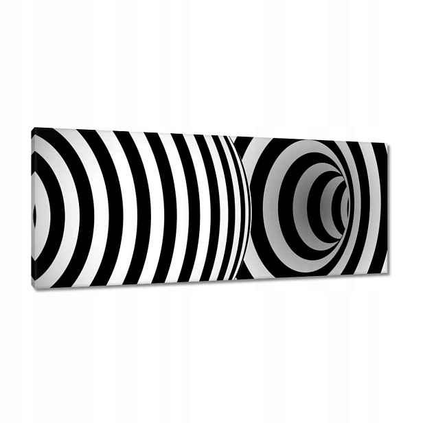 Obrazy 100x40 Abstrackja černobílá
