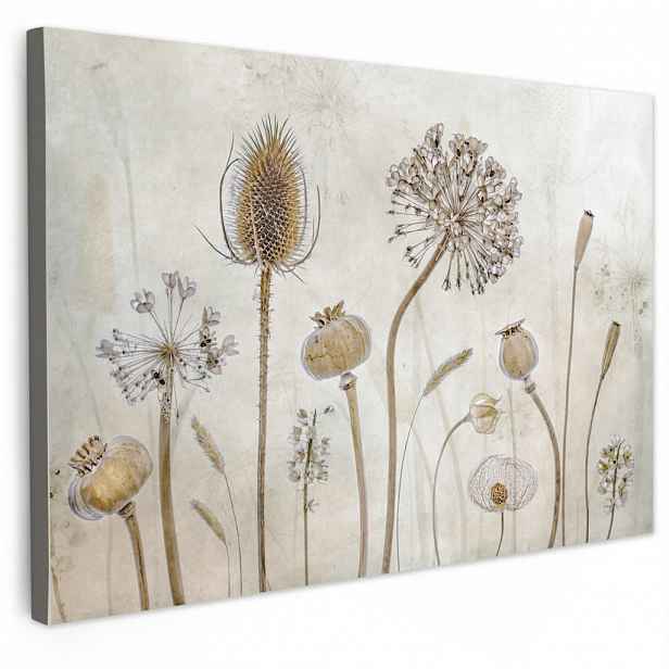 MuchoWow OBRAZ NA PLÁTNĚ Květiny - Akvarel - Zátiší - Hnědá - Vintage 60x40 cm