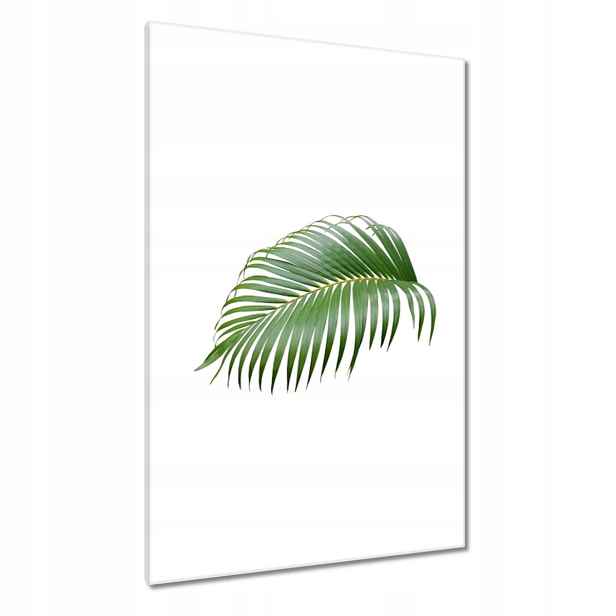 Obrazy 80x120 Zelený list Minimalismus