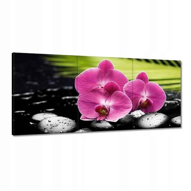 Obrazy 150x70 Spa Kameny a oleandry