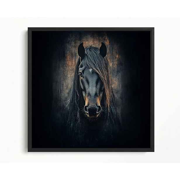 Obraz Rám Americký Box Foto Portrét Zvíře Černý Kůň Rumák Hříva 60x60