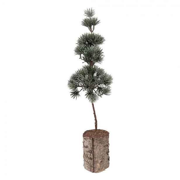 Vánoční dekorace jehličnatý stromek na dřevě - 14*14*45 cm Clayre & Eef
