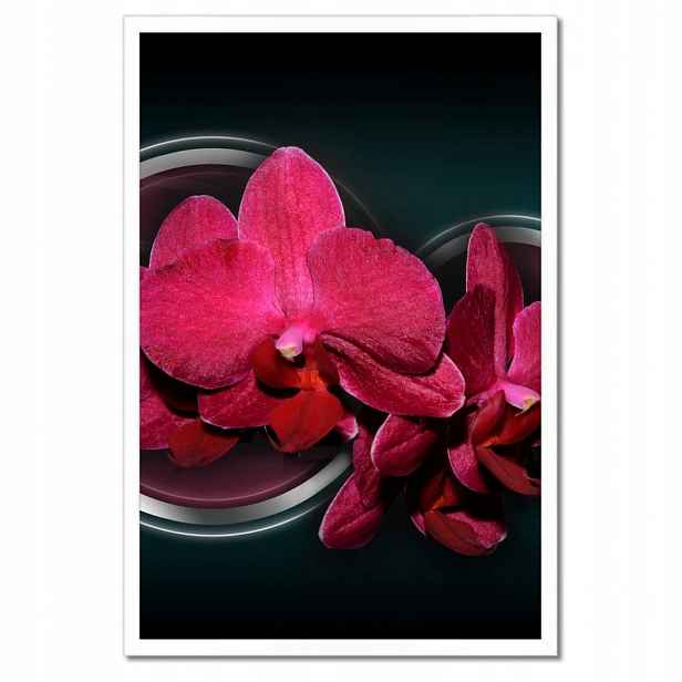 Plakáty v rámu 40x60 Fialový orchidej