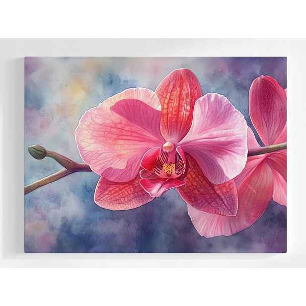 Plakát Grafika Orchidej Květ Růžový Orchidej 100x75