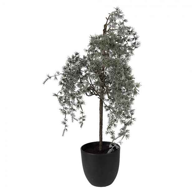 Dekorace cedrový stromek v květináči Cedar M - 30*30*60 cm Clayre & Eef