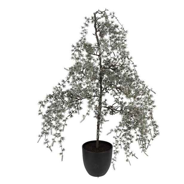Vánoční dekorace cedrový stromek v květináči Cedar L - 40*40*85 cm Clayre & Eef