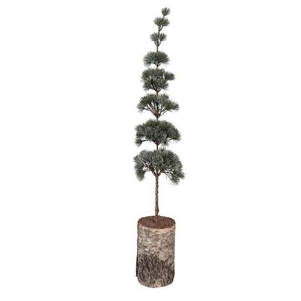Vánoční dekorace jehličnatý stromek na dřevě L - 15*15*80 cm Clayre & Eef